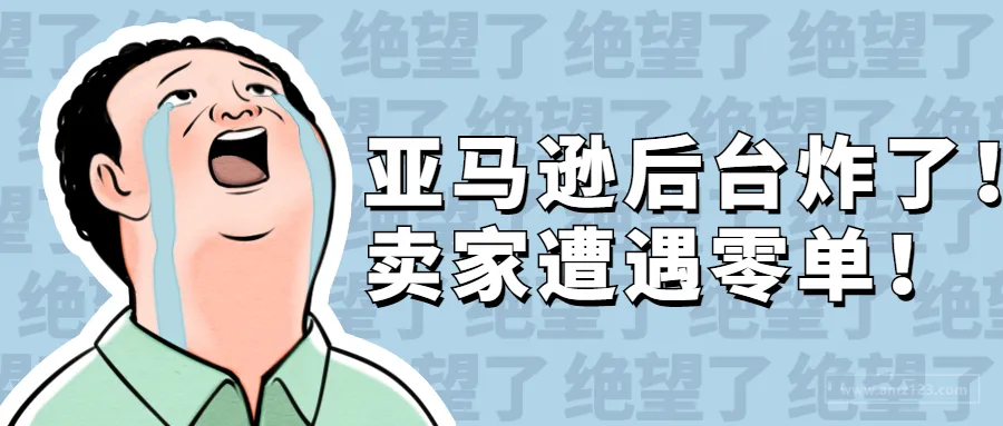 亚马逊系统再崩溃!卖家集体遭遇零单!