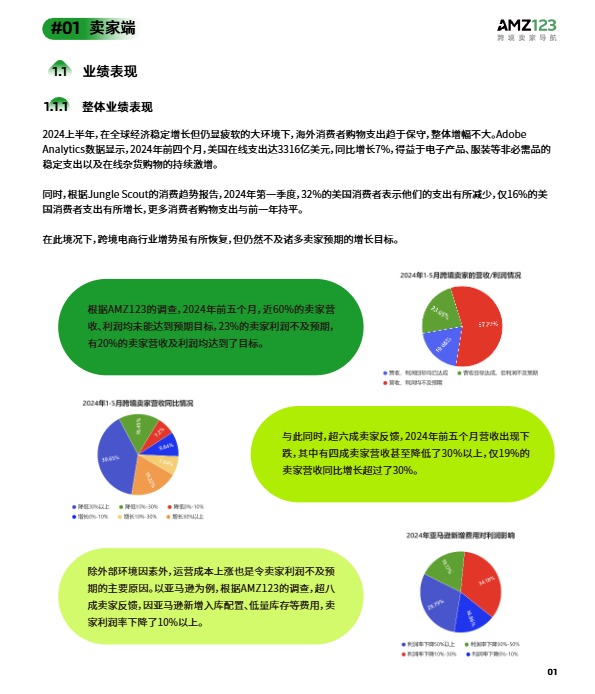 2024上半年度跨境电商调研报告-AMZ123 