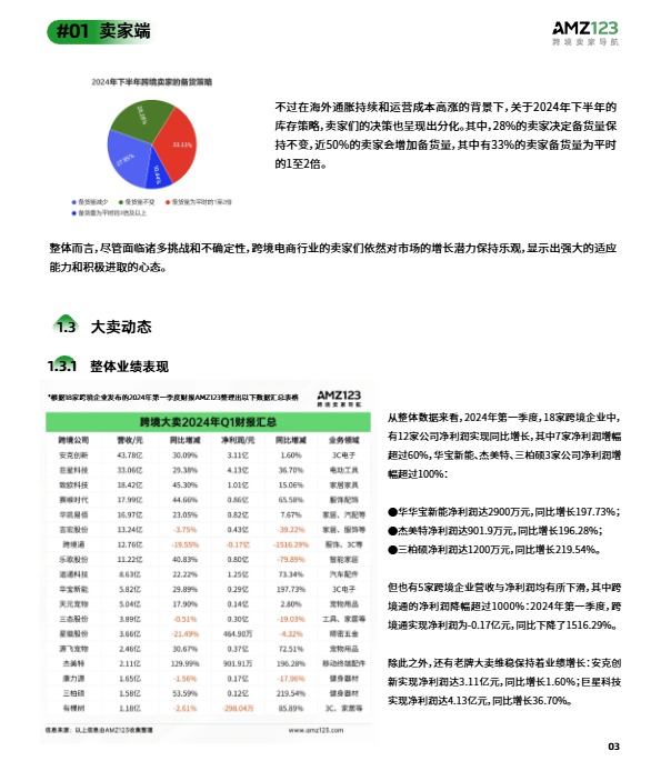 2024上半年度跨境电商调研报告-AMZ123 