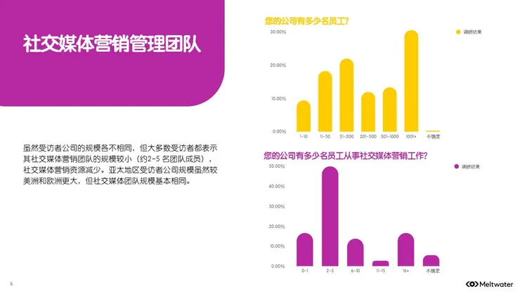 2024全球社交媒体营销报告 
