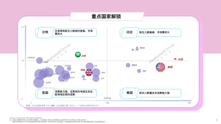 2024母婴行业出海白皮书 