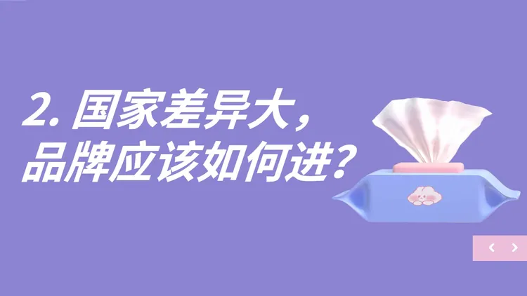 2024母婴行业出海白皮书 