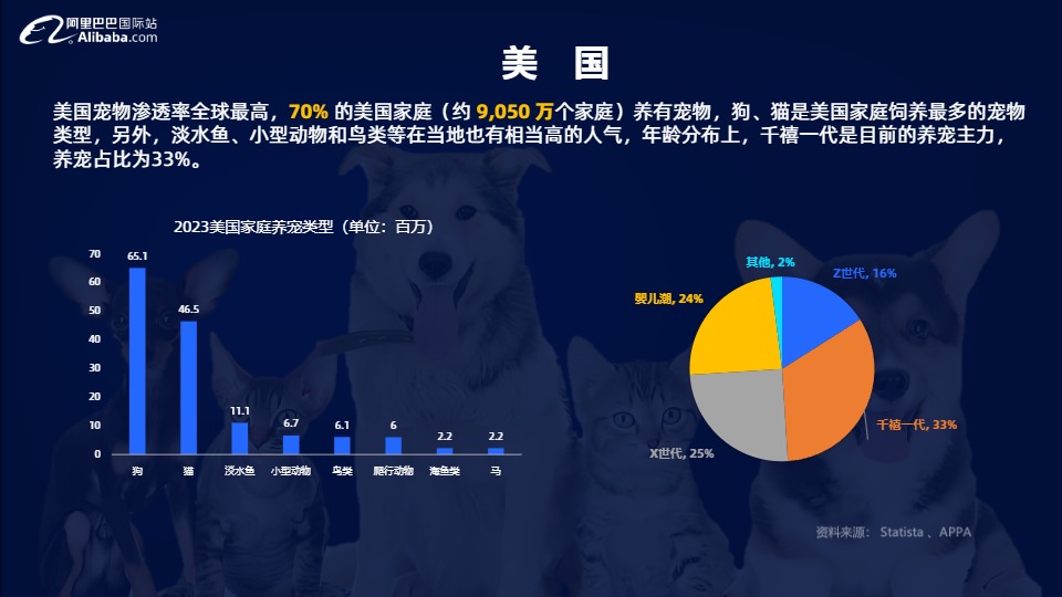 2024宠物行业宠物玩具全球趋势报告 