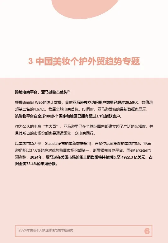 2024年美妆个人护理跨境电商专题研究 