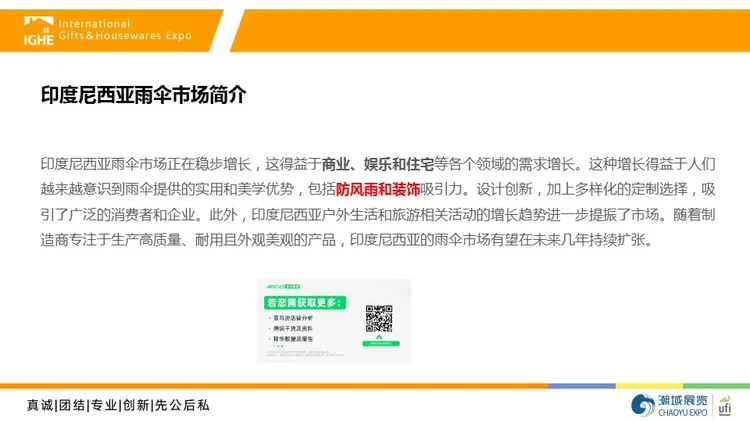 2025年印尼伞类市场调研报告 