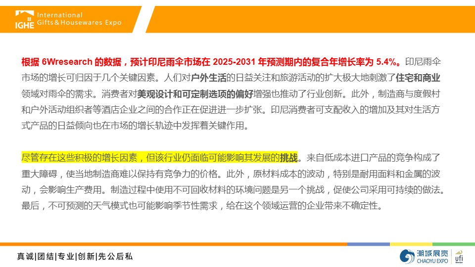 2025年印尼伞类市场调研报告 