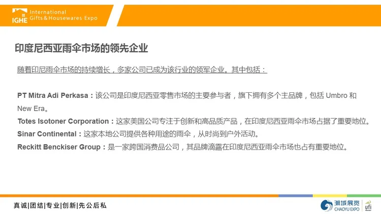 2025年印尼伞类市场调研报告 