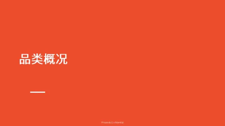 2025年美甲品类洞察报告 