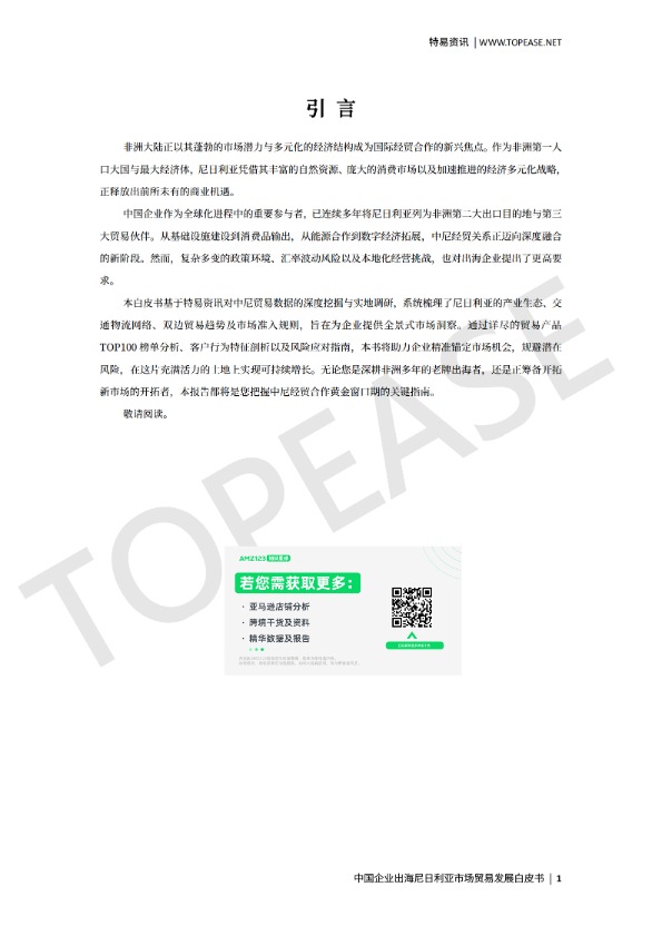 中国企业出海尼日利亚市场贸易发展白皮书 