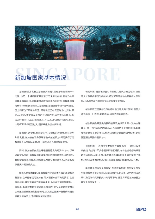 新加坡出海手册 