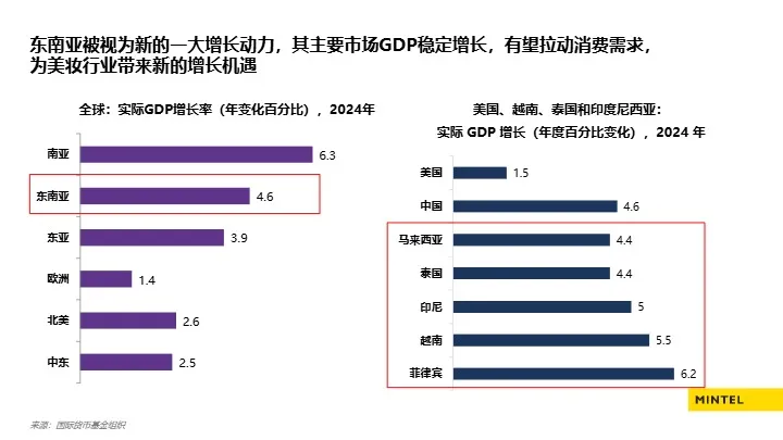 2025出海东南亚美容个护趋势解读报告 
