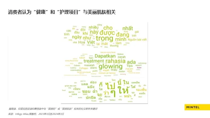 2025出海东南亚美容个护趋势解读报告 