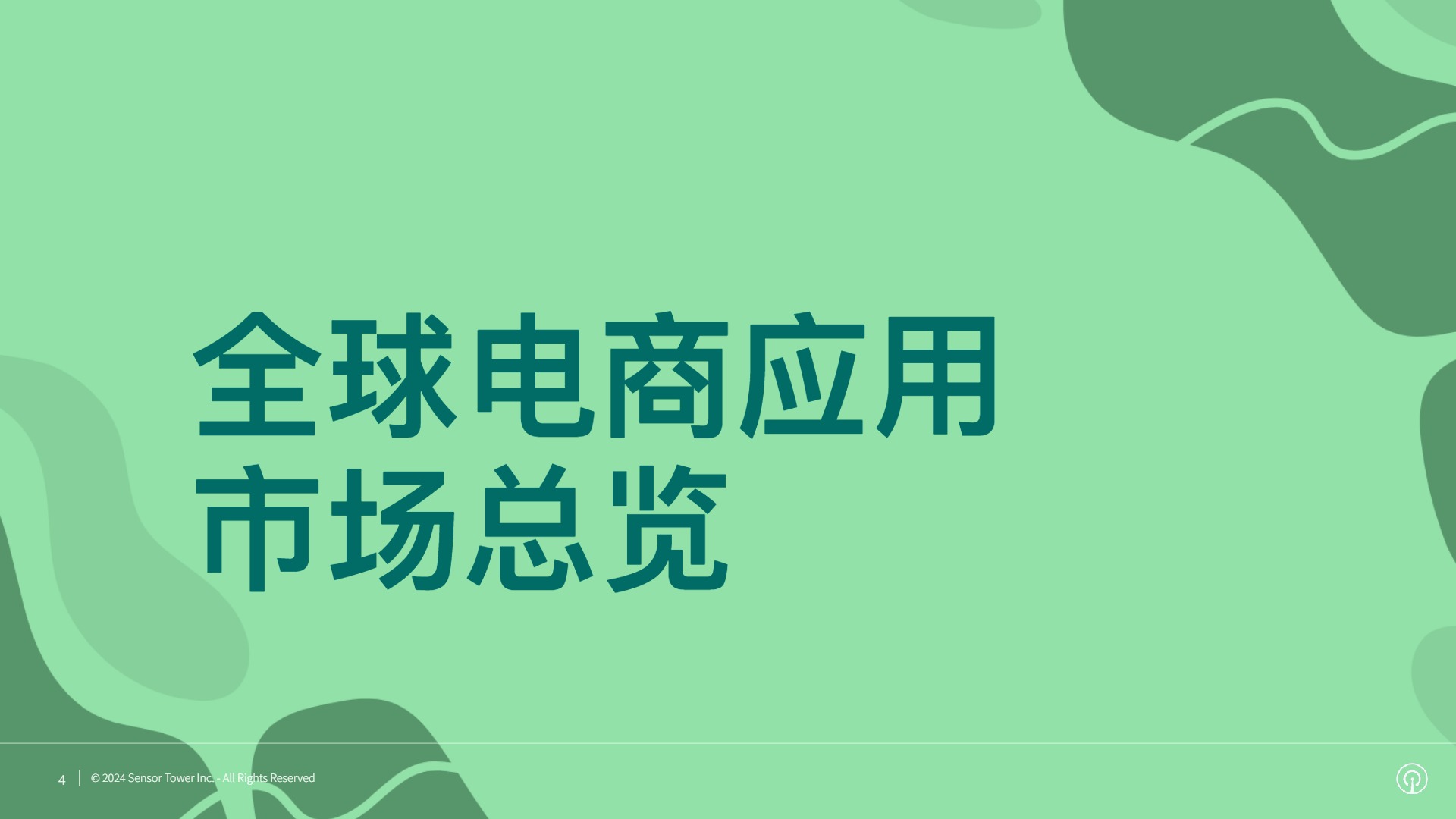 2024年电商应用与品牌市场洞察 