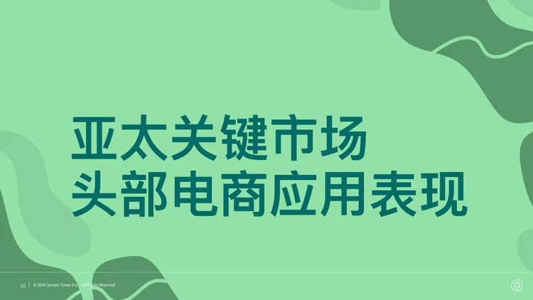 2024年电商应用与品牌市场洞察 