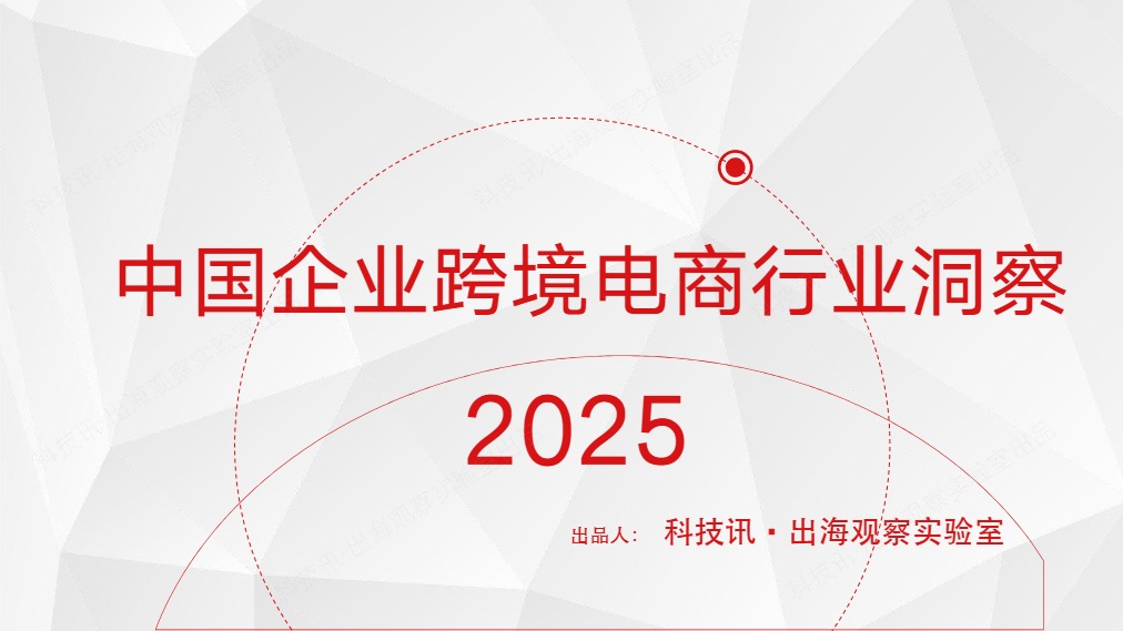 2025中国企业跨境电商行业洞察 