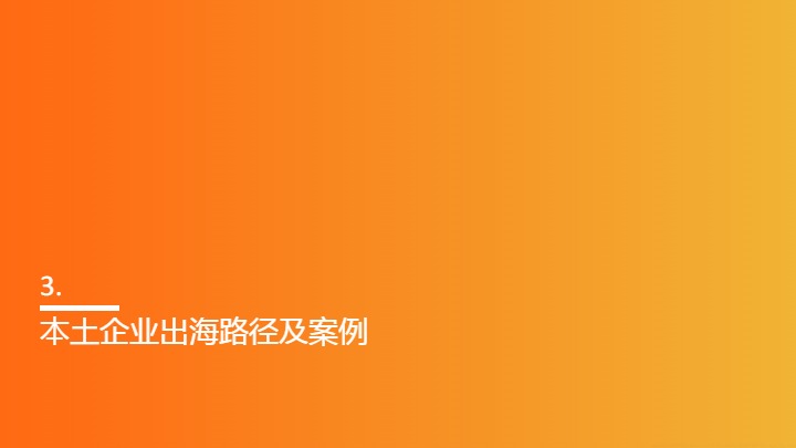2024年本土品牌出海路径及未来机遇报告 