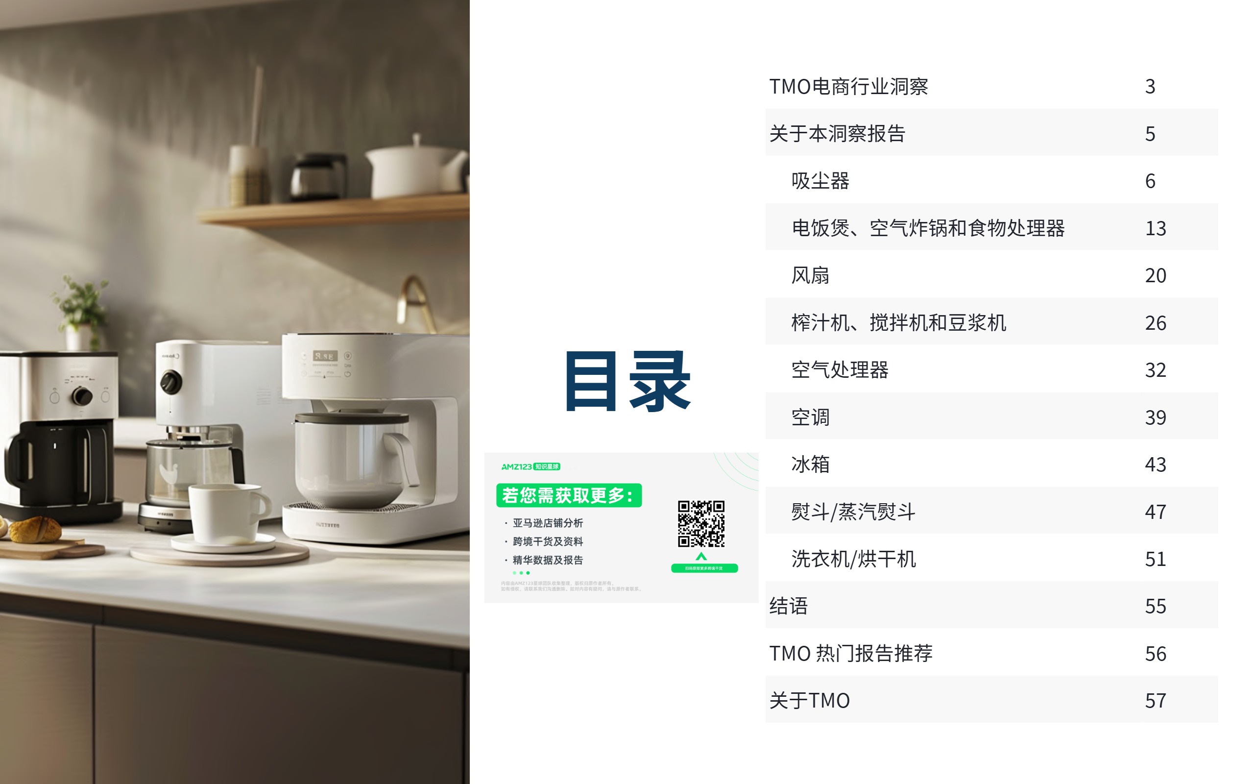 东南亚家用电器电商行业市场洞察 