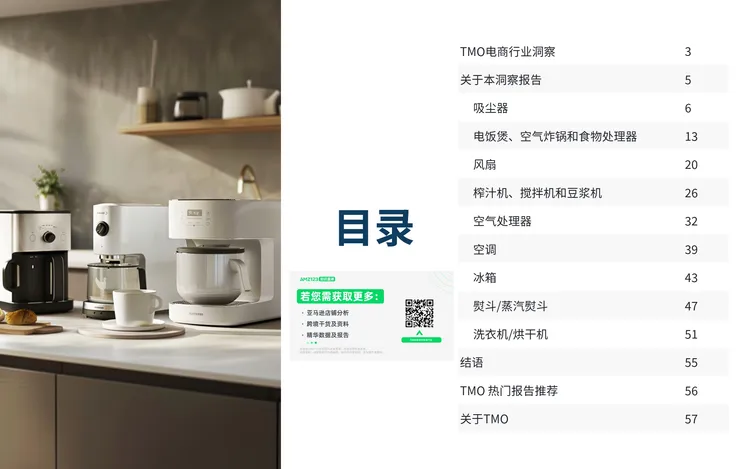 东南亚家用电器电商行业市场洞察 