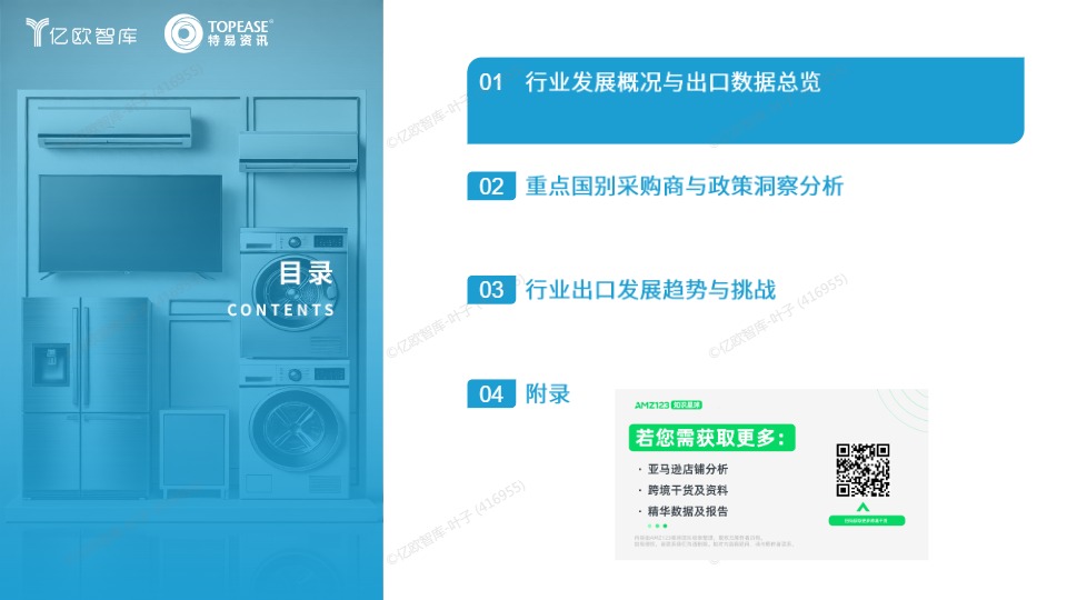 中国消费电子出海国别机会洞察报告 
