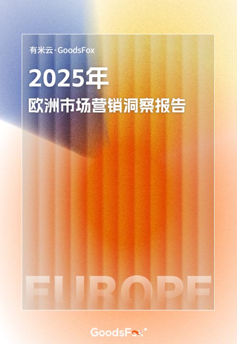 2025年欧洲市场营销洞察报告 