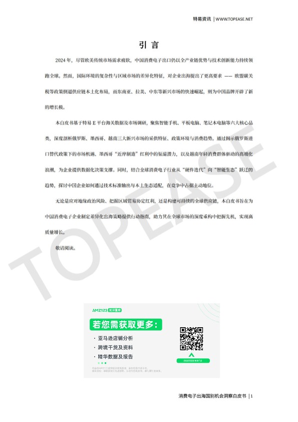 2025消费电子出海国别机会洞察白皮书 