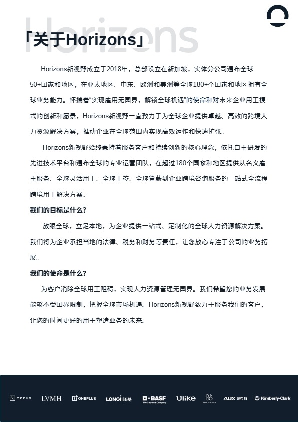 2025年越南出海白皮书 