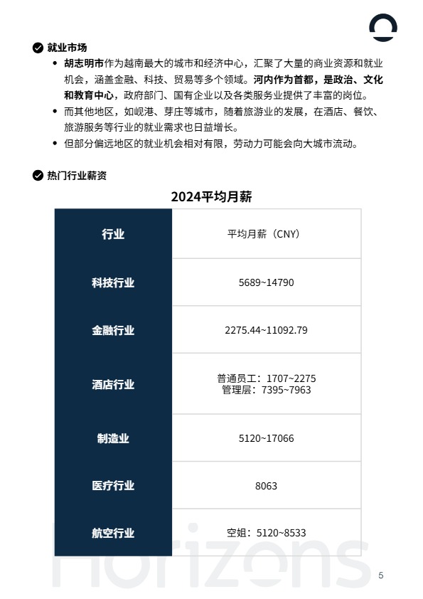 2025年越南出海白皮书 