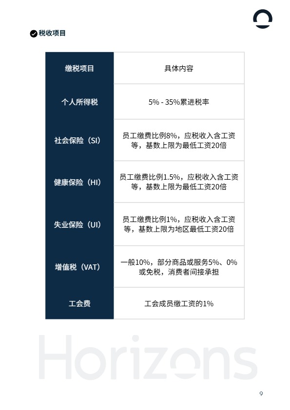 2025年越南出海白皮书 