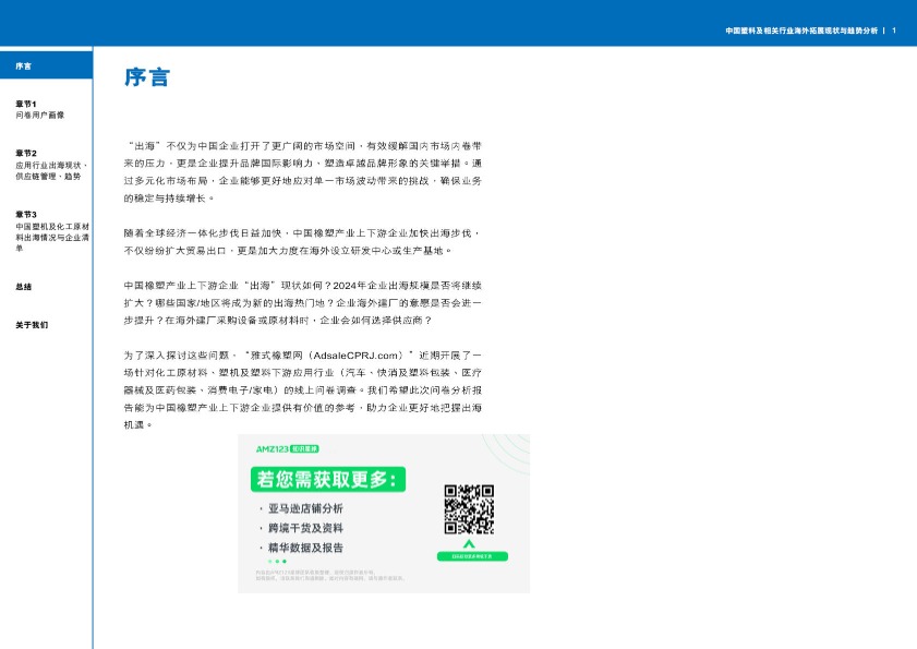 2024中国塑料及相关行业海外拓展现状与趋势分析报告 