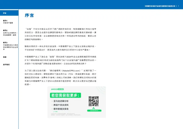 2024中国塑料及相关行业海外拓展现状与趋势分析报告 