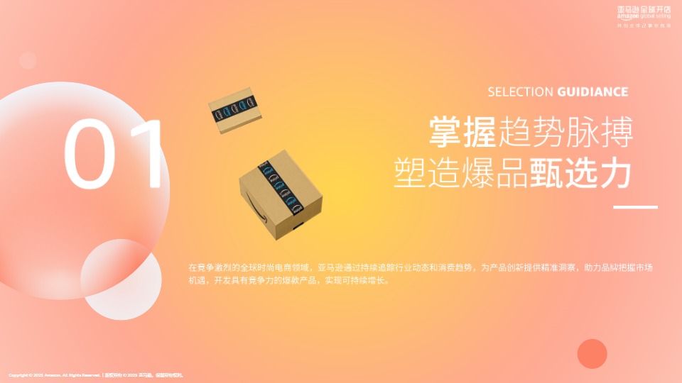 2025亚马逊全球开店时尚品类电商选品洞察报告 
