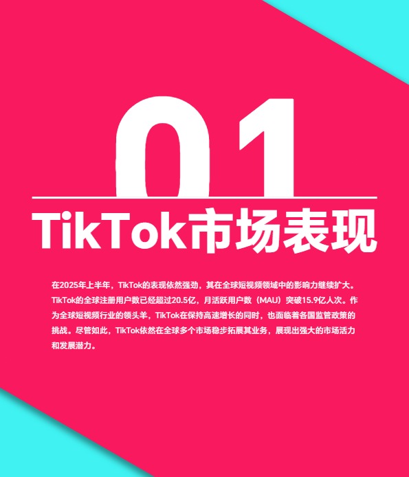 2025上半年TikTok Shop调研报告-TT123 