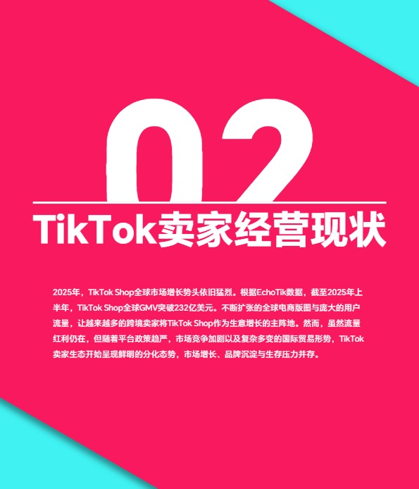 2025上半年TikTok Shop调研报告-TT123 
