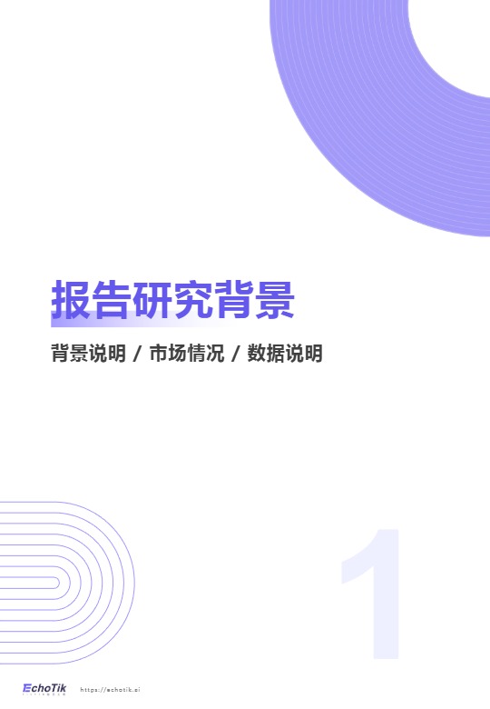 2025 TikTok Shop德国站点报告 
