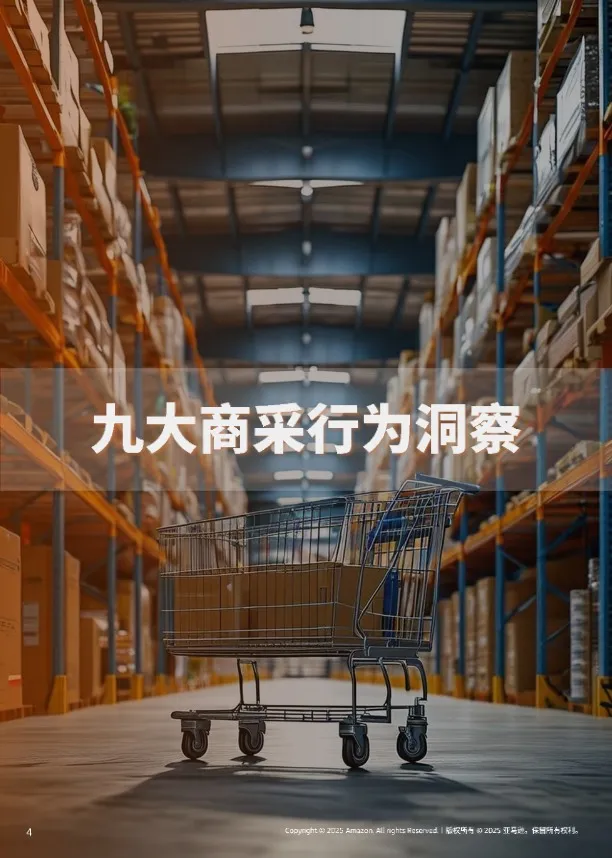 亚马逊全球线上商采趋势与区域洞察 