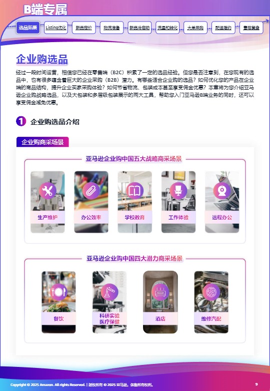 亚马逊双轨增长指南 