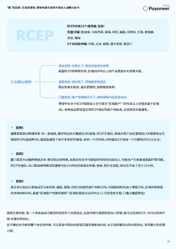 2025年跨境电商东南亚市场进入战略白皮书 