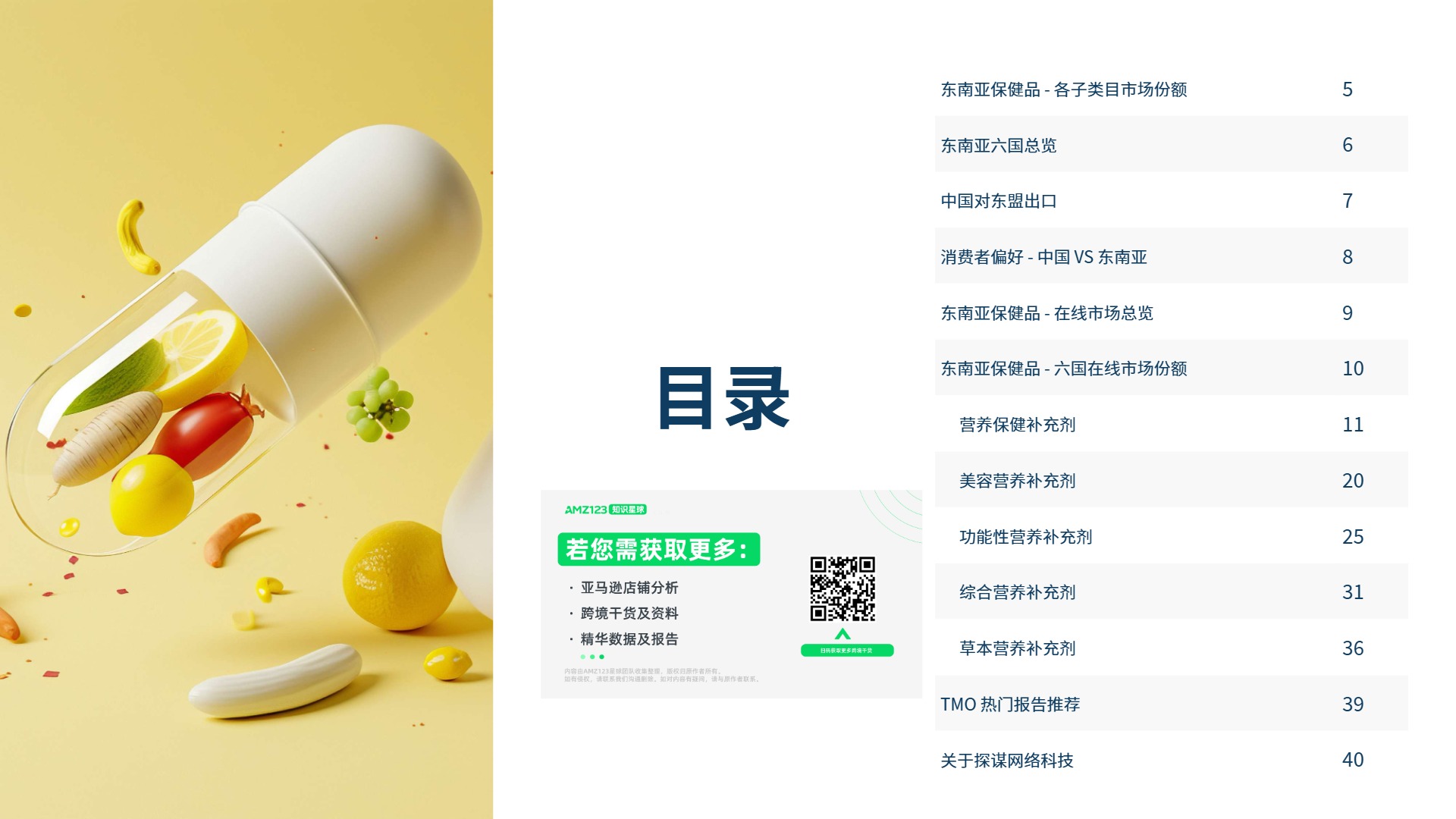 2025年东南亚膳食营养补充剂电商深度洞察 