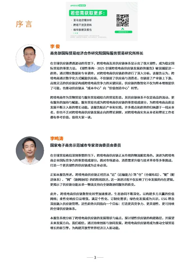 2025全球跨境电商供应链发展趋 