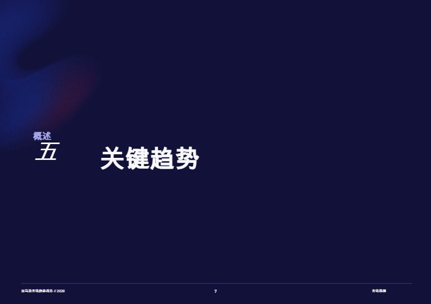 2026年亚马逊市场趋势报告 