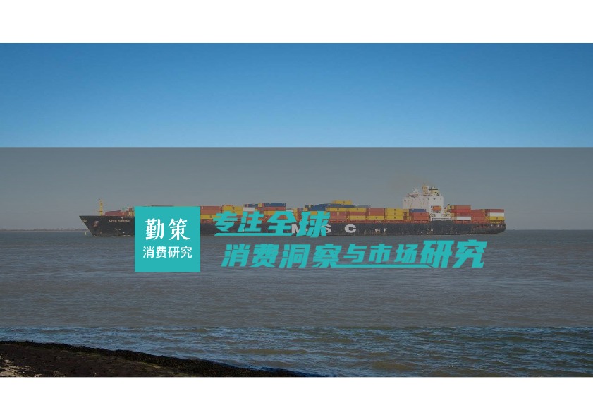 2025中国跨境电商营销行业报告 