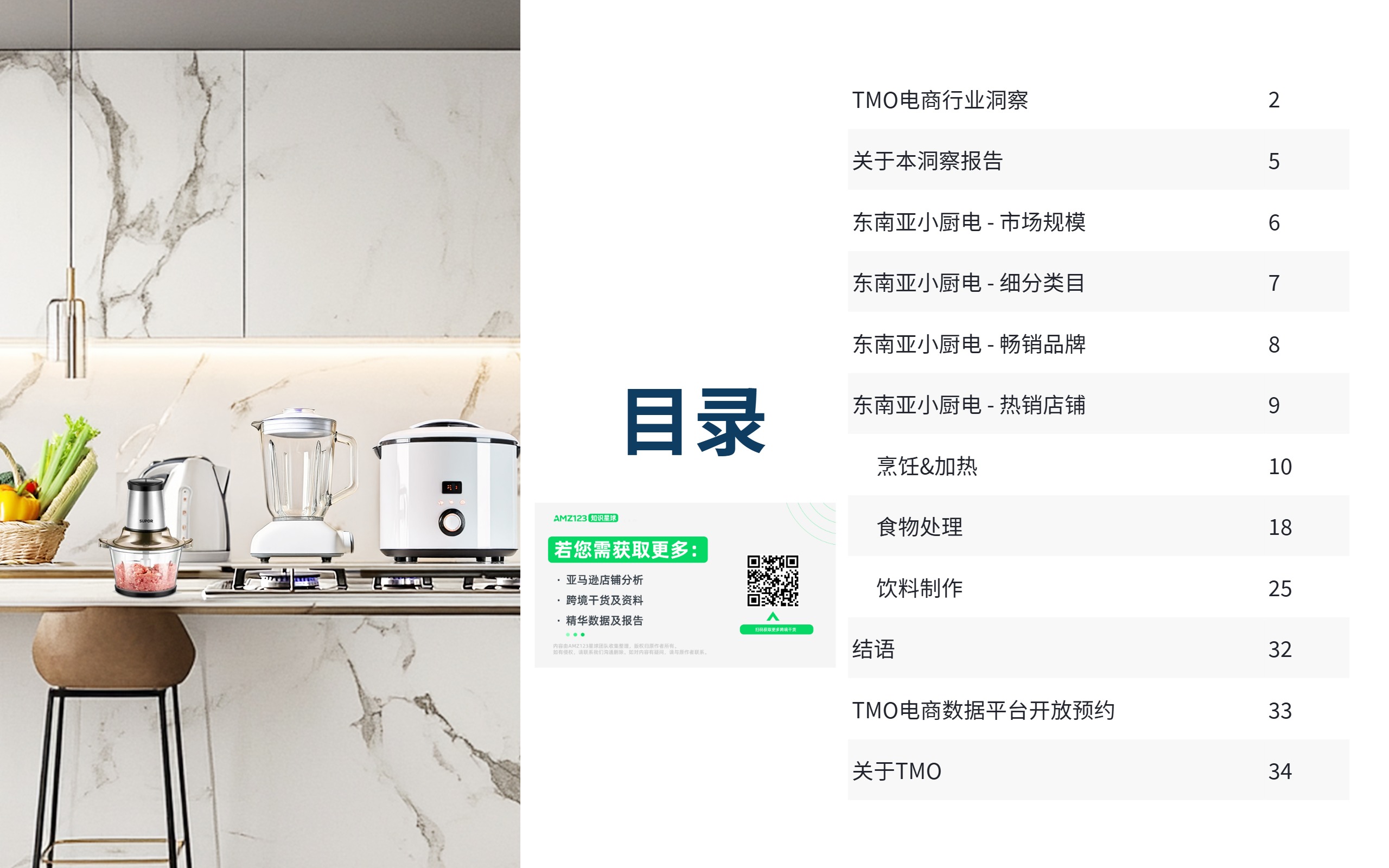 东南亚小厨电电商行业市场洞察 