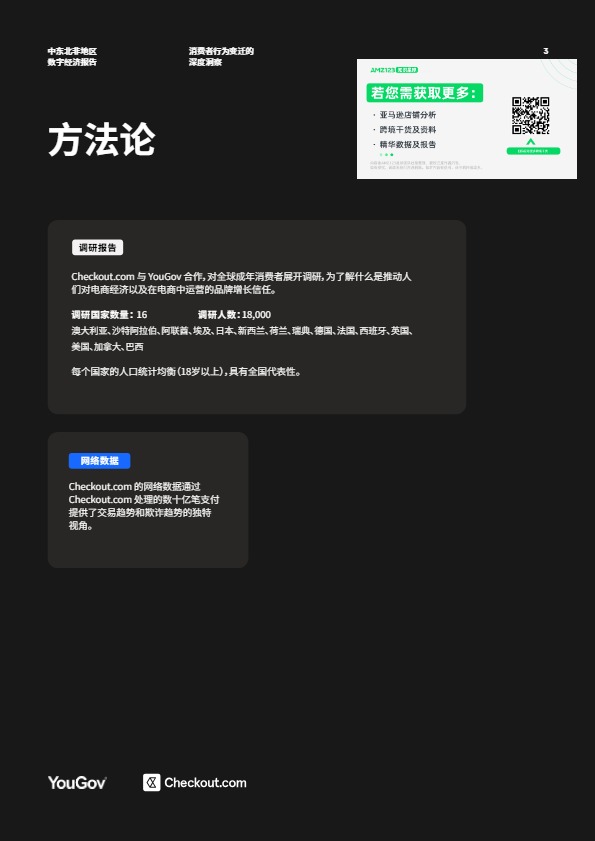 2025中东北非消费者数字经济报告 