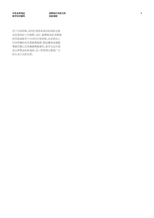 2025中东北非消费者数字经济报告 