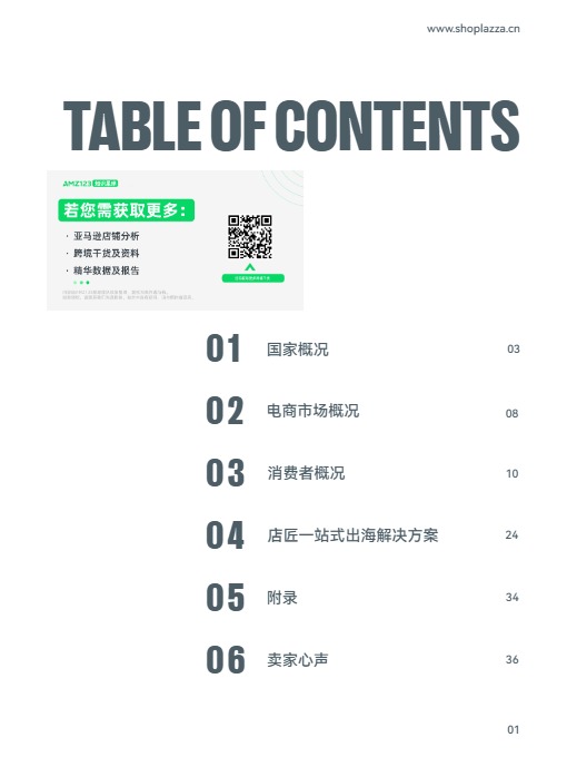 跨境蓝海拉美市场洞察 - 墨西哥篇 