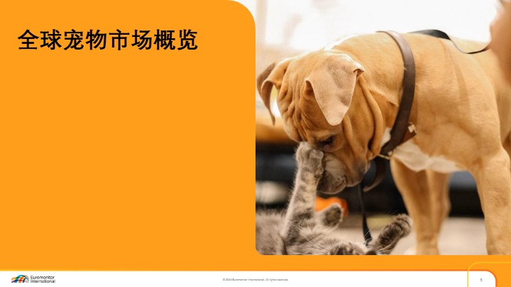 解码亚太宠物行业增长引擎 