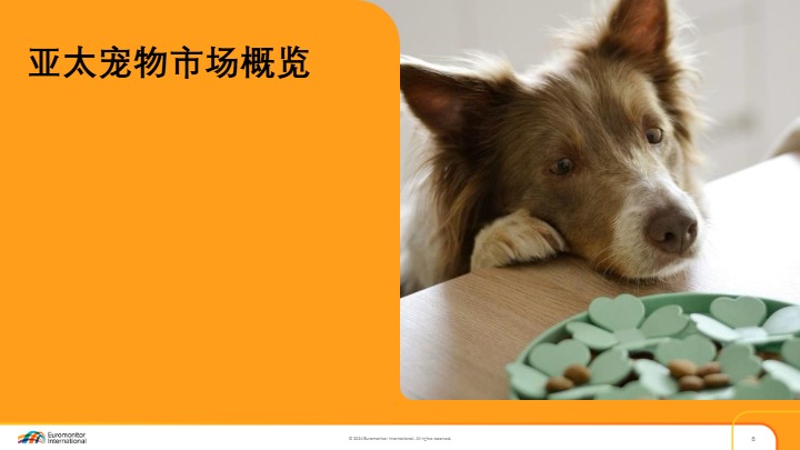 解码亚太宠物行业增长引擎 