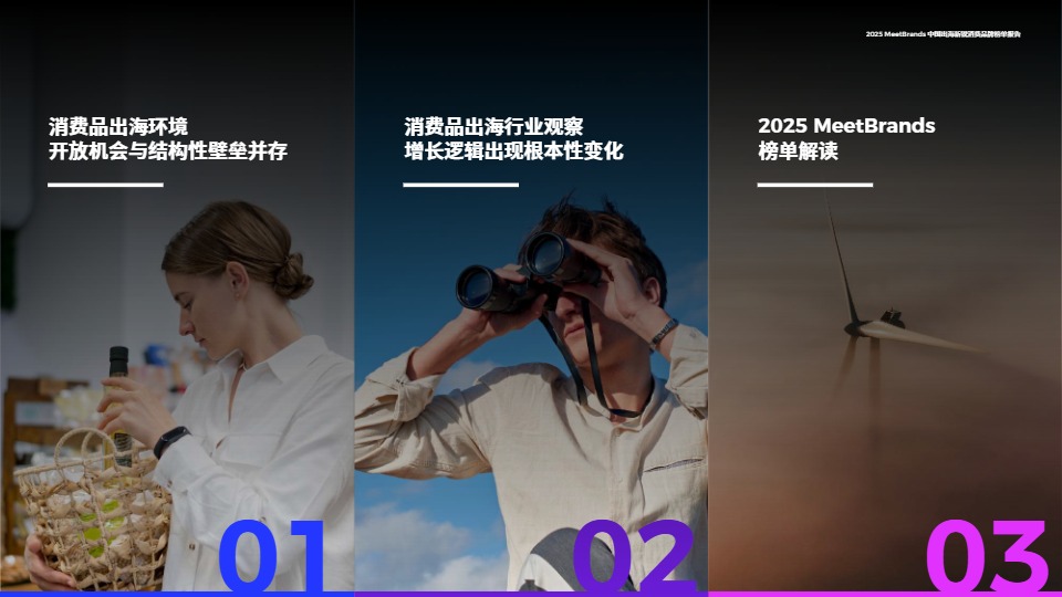 2025中国出海新锐消费品牌榜单报告 