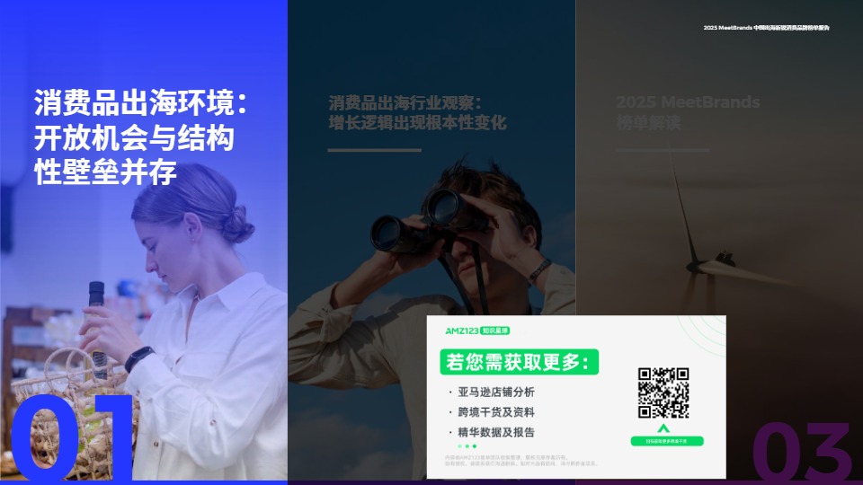 2025中国出海新锐消费品牌榜单报告 