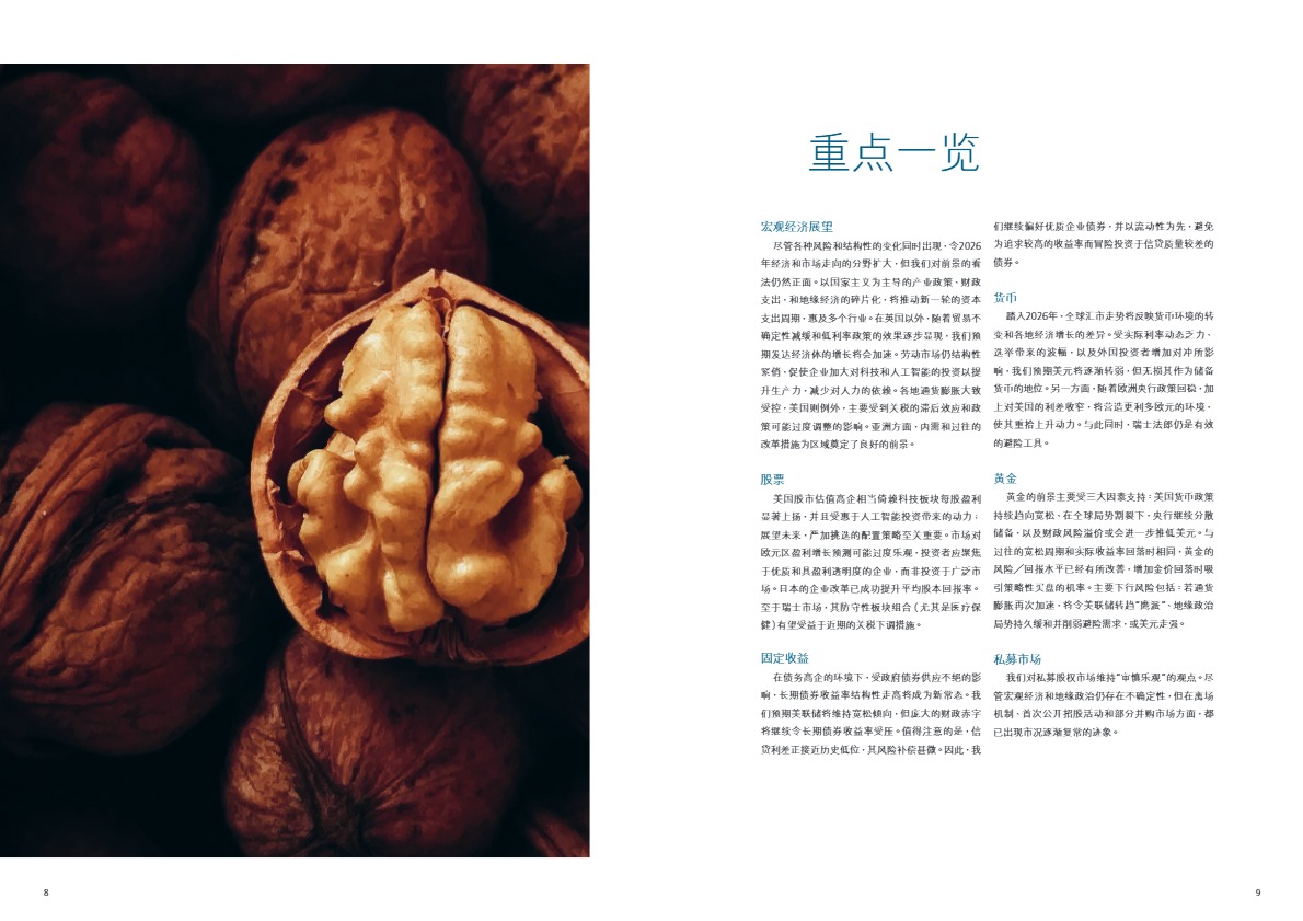 2026各国全局展望 